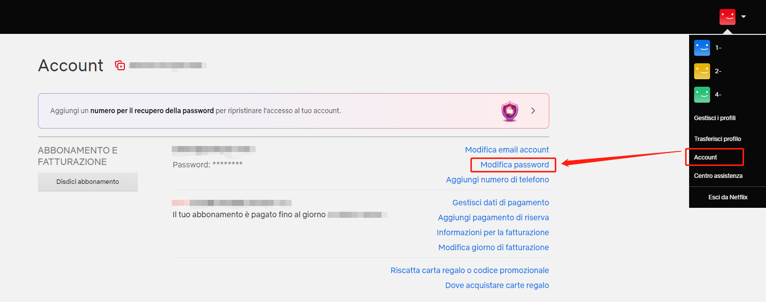 Netflix modifica password