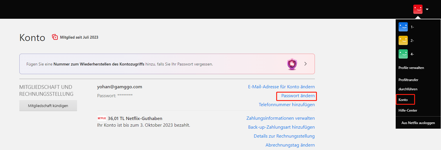 Netflix-Passwort ändern