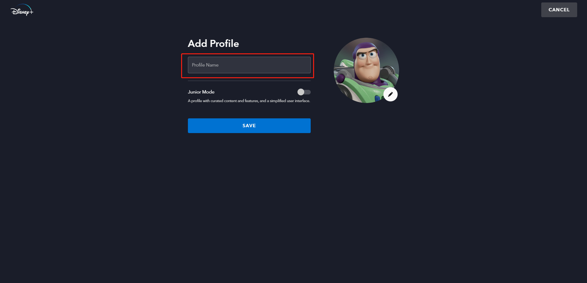 set a profile name on disney plus