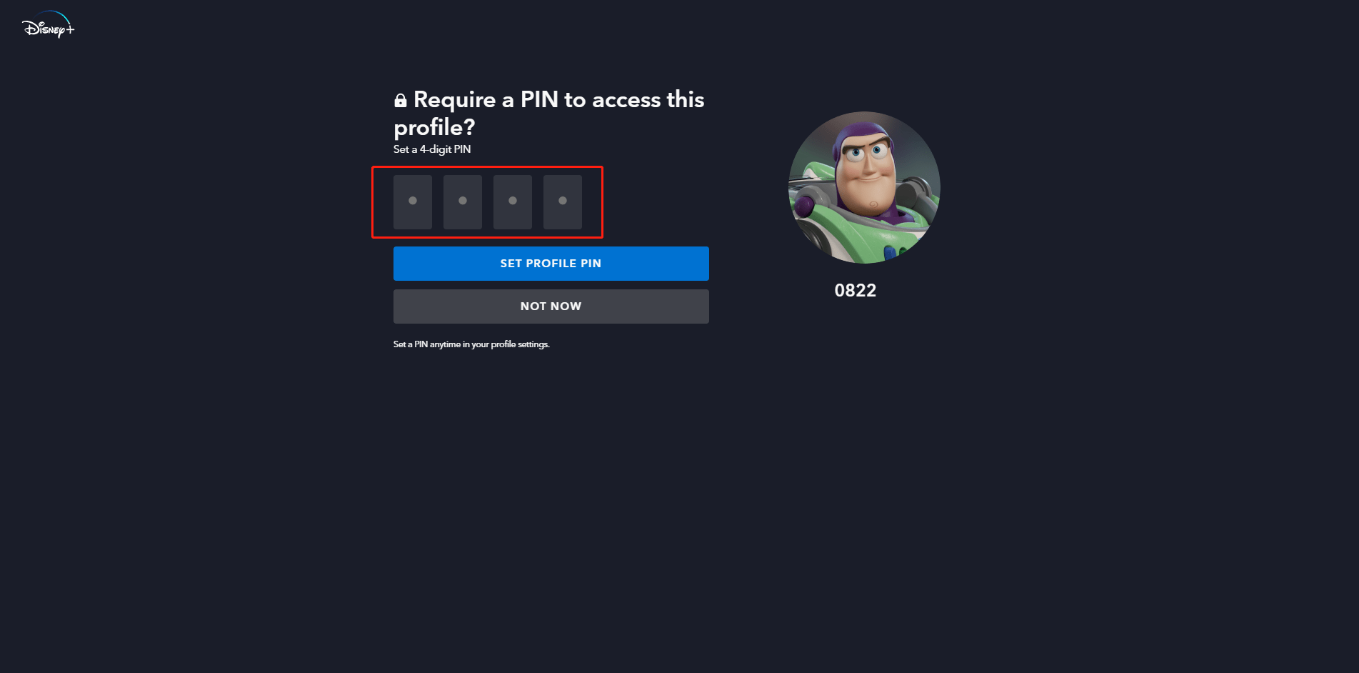 set profile pin