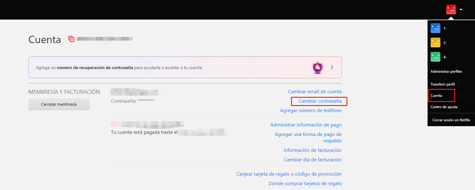Netflix cambiar contraseña